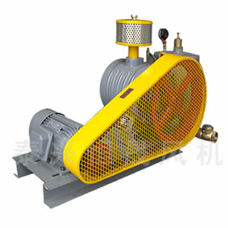 HC-1001S水處理曝氣風(fēng)機-回轉(zhuǎn)式風(fēng)機